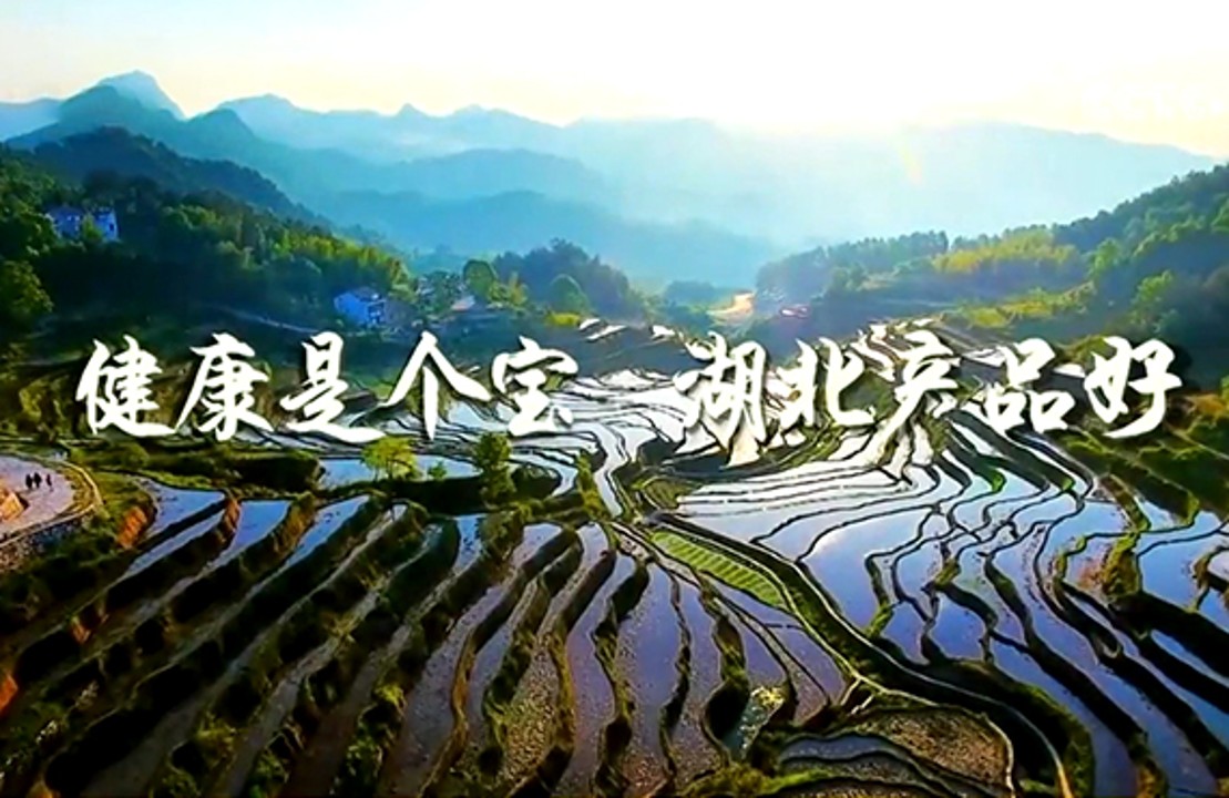 文章内页.jpg
